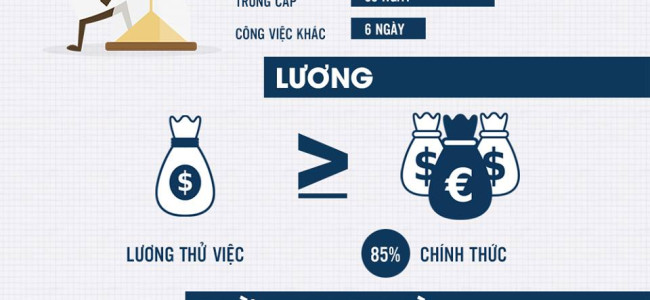 Những điều mà Nhân sự nên biết (được Mentor giới thiệu :3 )