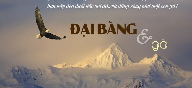 Làm gà hay đại bàng?