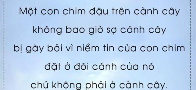 Niềm tin vào bản thân