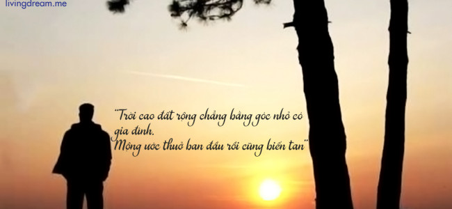 BỐ TỪNG LÀ NGƯỜI THẾ NÀO?