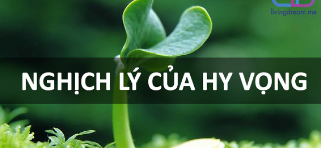 NGHỊCH LÝ CỦA HY VỌNG