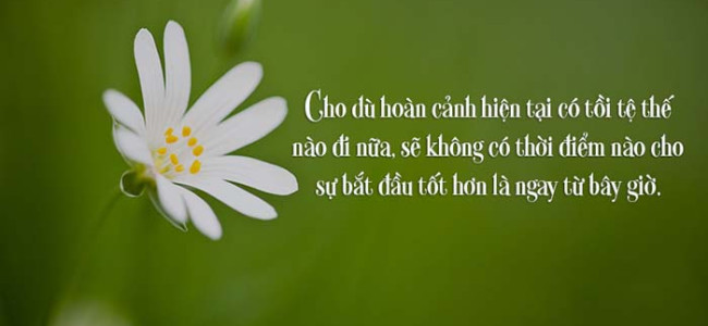 Dành cho những ai đang mất động lực trong cuộc sống (P1)