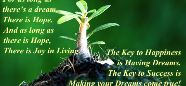 The journey of cooperating with FaceBook to nurture dreams for the world